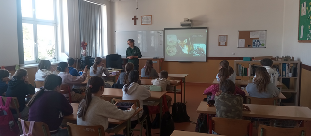 allatokvilagnapja202500001